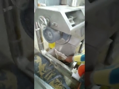 บริการนอกสถานที่ สอนเครื่องอัดรีดอาหารสัตว์เลี้ยง