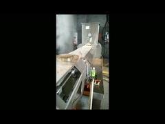 สายการผลิตอาหารปลาวัสดุสแตนเลสมอเตอร์หลักของซีเมนส์