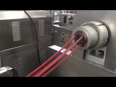 สายการผลิต Exrusion หมากฝรั่งสุนัข ไฟฟ้า พลังงาน ABB Inveter