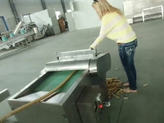 Kibble Food สัตว์เลี้ยงสุนัขแมวรักษาเครื่อง Extruder อุปกรณ์ BV Certification