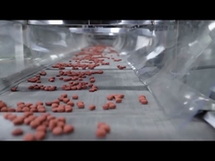 ใบรับรอง CE อัตโนมัติเต็มรูปแบบเครื่องอัดรีดอาหารสุนัขสายการผลิตอาหารสัตว์เลี้ยง