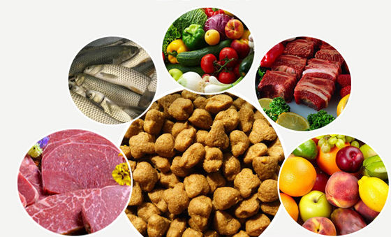 SBN เครื่องทําเม็ดอาหารสุนัขแห้งจากเหล็กไร้ขัด