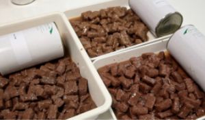 สายการแปรรูปอาหารสัตว์เลี้ยงมืออาชีพ / เครื่องจักรสําหรับอาหารสัตว์