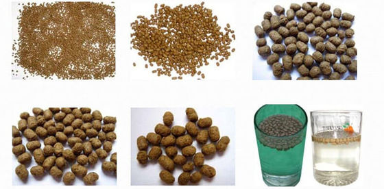 บริการนอกสถานที่ สอนเครื่องอัดรีดอาหารสัตว์เลี้ยง