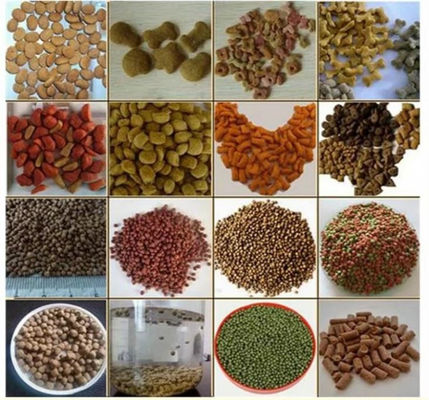 เครื่องอัดรีดอาหารปลาในน้ำสแตนเลส 4 ตัน/ชม. พร้อมมอเตอร์ซีเมนส์