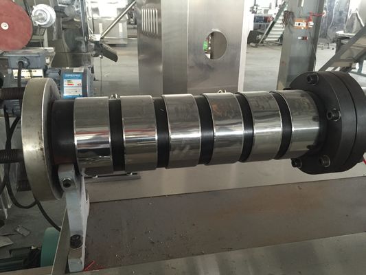 สายการผลิตอาหารปลาลอย 100 กิโลกรัม/ชั่วโมง