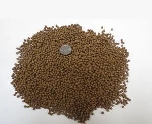 1000-1500kg/H Dry Type Fish Feed Extruder For Catfish Shrimps