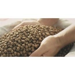 เครื่องทำอาหารปลาอัดเม็ดปลาคู่ 200-260 กก./ชม. อุปกรณ์ให้อาหารปลา