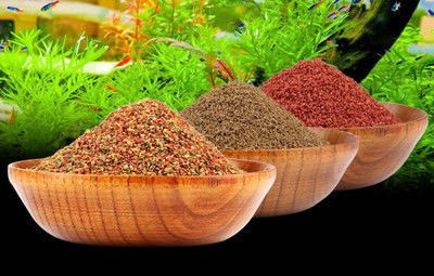 เครื่องทำอาหารปลาอัดเม็ดปลาคู่ 200-260 กก./ชม. อุปกรณ์ให้อาหารปลา