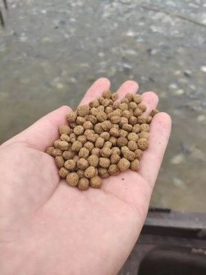 100-160 กิโลกรัม/ชั่วโมง เครื่องทําอาหารปลา