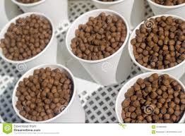 SUS สัตว์เลี้ยงปลา เครื่องผลิตอาหารปลา 100kg/H-6t/H