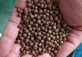 SUS สัตว์เลี้ยงปลา เครื่องผลิตอาหารปลา 100kg/H-6t/H