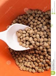 6 ton/h Animal Pet Food Production Line Dog Food Machine Fish Feed