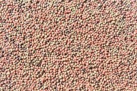 100kg/h-6t/h เครื่องบดอาหารปลาแบบสองสกรูสําหรับเครื่องปลาปลาปลาที่ลอย