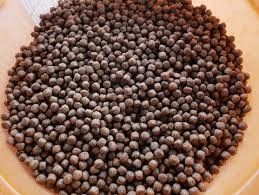 Dsp 70 ปลา Feed Extruder ปลาลอย ผงอาหารปลาเครื่องแห้ง เครื่องแห้ง pellets