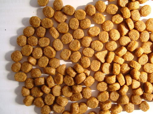 เครื่องผลิตอาหารปลา