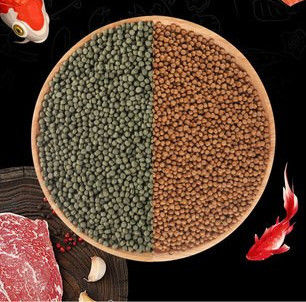 เครื่องจักรแปรรูปเม็ดอาหารปลาอัตโนมัติ ในโรงงานไซบายนู